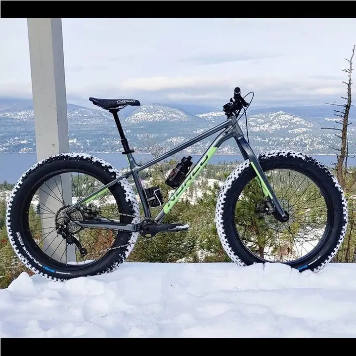 Avalanche 20 inch bike price sales